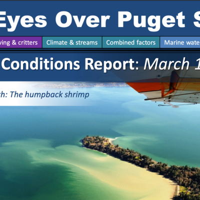 Report cover