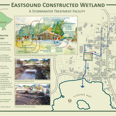 Eastsound Constructed Wetland flyer