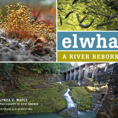 Book cover for "Elwha: A River Reborn" by Lynda Mapes