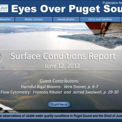 Eyes Over Puget Sound: Surface Conditions Report - June 12, 2012