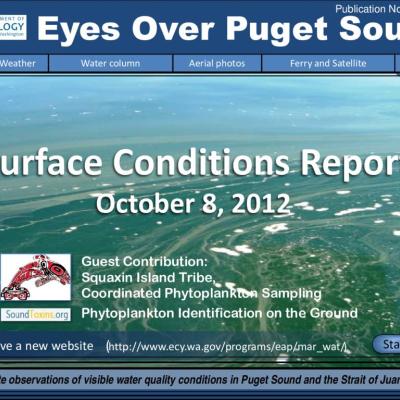 Eyes Over Puget Sound: Surface Conditions Report - October 8, 2012