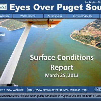 Eyes Over Puget Sound: Surface Conditions Report - March 25, 2013