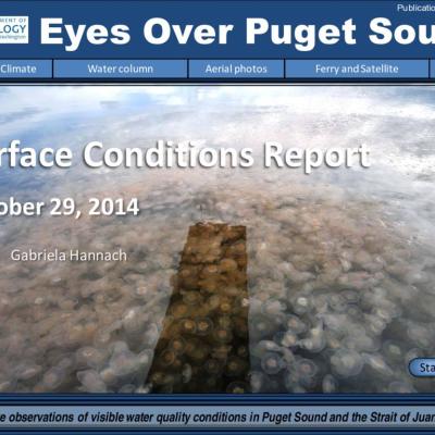 Eyes Over Puget Sound: Surface Conditions Report - October 29, 2014