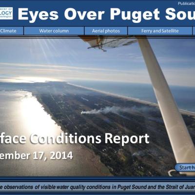 Eyes Over Puget Sound: Surface Conditions Report - November 17, 2014