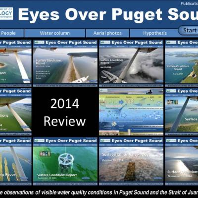Eyes Over Puget Sound: Surface Conditions Report - December 30, 2014