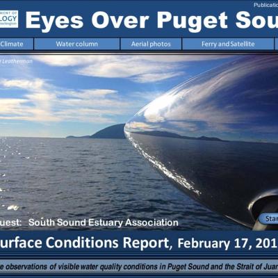 Eyes Over Puget Sound: Surface Conditions Report - February 17, 2015