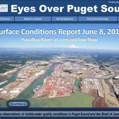 Eyes Over Puget Sound: Surface Conditions Report - June 8, 2015