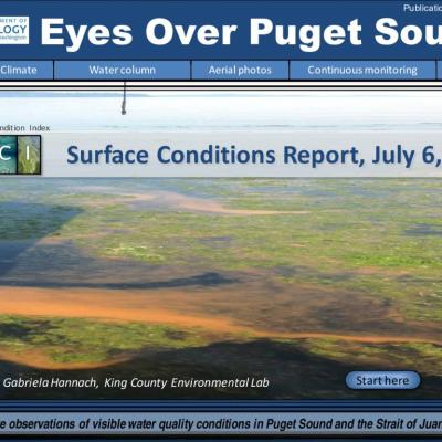 Eyes Over Puget Sound: Surface Conditions Report - July 6, 2015