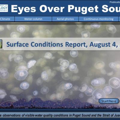 Eyes Over Puget Sound: Surface Conditions Report – August 4, 2015