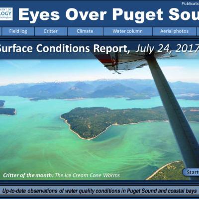 Eyes Over Puget Sound: Surface Conditions Report – July 24, 2017