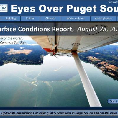 	Eyes Over Puget Sound: Surface Conditions Report August 28, 2017
