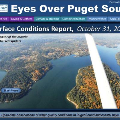 Eyes Over Puget Sound: Surface Conditions Report, October 31, 2017