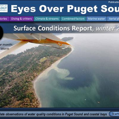 	Eyes Over Puget Sound: Surface Conditions Report – Winter 2018
