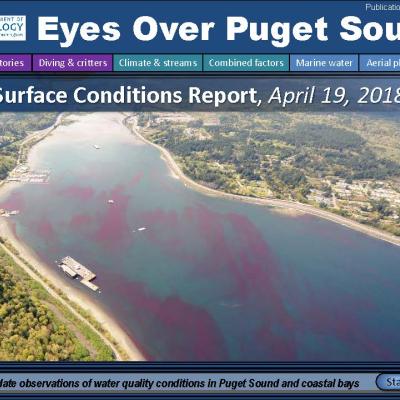 Eyes Over Puget Sound: Surface Conditions Report – April 19, 2018