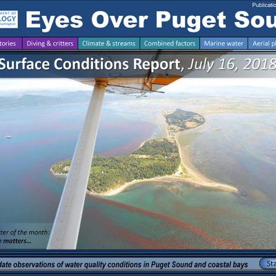 Eyes Over Puget Sound: Surface Conditions Report - July 16, 2018