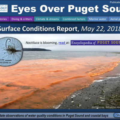 Eyes Over Puget Sound: Surface Conditions Report – May 22, 2018