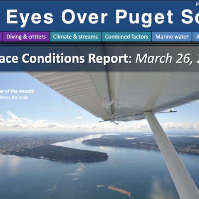 Report cover