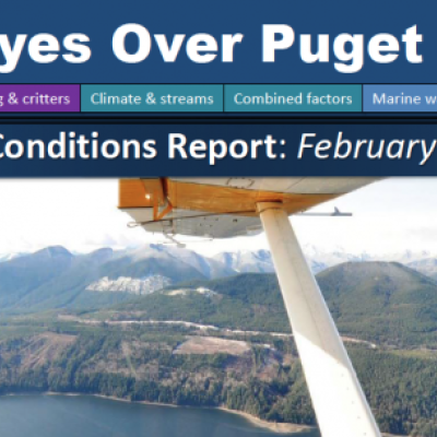 Report cover