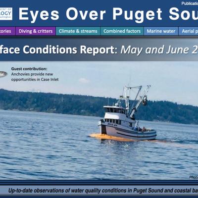 Eyes Over Puget Sound report cover