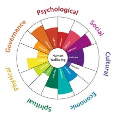 A “medicine wheel” graphic that will be used to showcase HWB indicators; copyright Biedenweg et al.