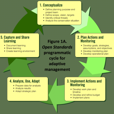 Steps in the Adaptive Management cycle. Figure 1 from  the article.