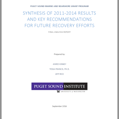report cover: Synthesis of 2011-2014 results and key recommendations for future recovery efforts: Final analysis report