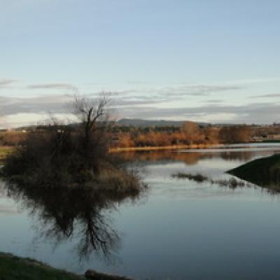Submerged marsh in Fisher Slough. Image courtesy of NOAA.