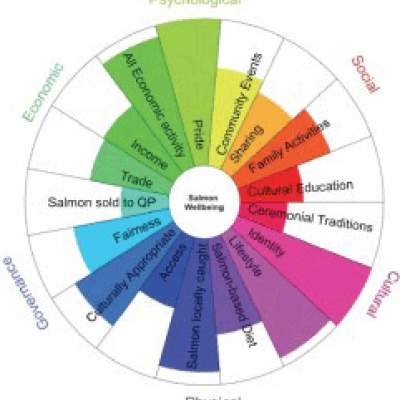 Visual representation of Human Wellbeing domains for marine policy.