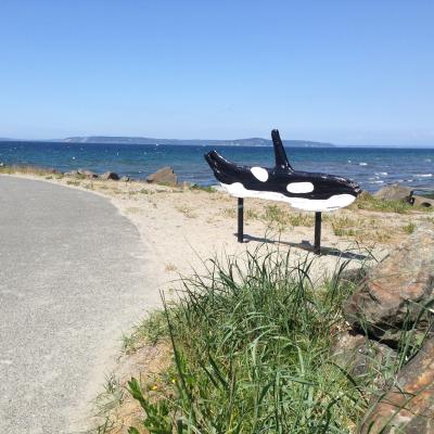 The view from the shore of Brackett's Landing, a Marine Protected Area in Puget Sound. Photo by Jeff Rice. Attribution-NonCommercial 4.0 International (CC BY-NC 4.0)
