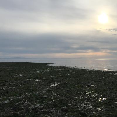 Birch Bay. Photo by Jeff Rice