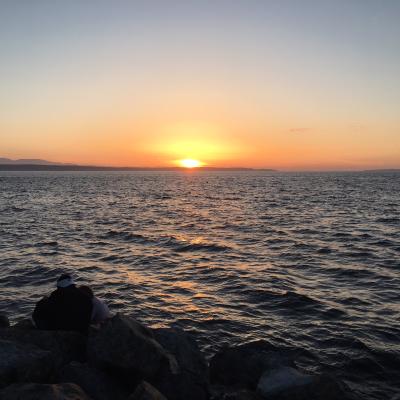 Puget Sound shoreline at sunset. Photo by Jeff Rice. All rights reserved. 