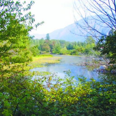 The Snoqualmie River. Photo copyright King County. 