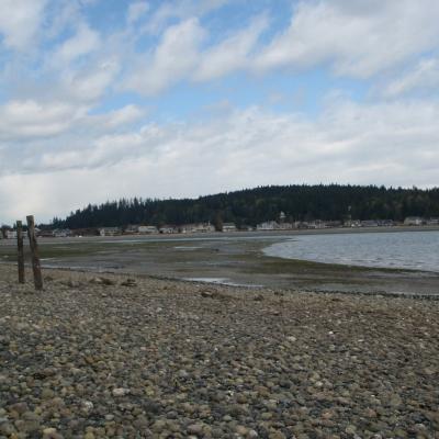 Report cover photo.