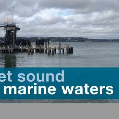 Report cover for Puget Sound Marine Waters 2020 Overview