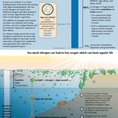 Infographic describing sources of nitrogen in Puget Sound