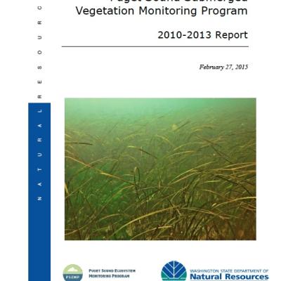 Report cover