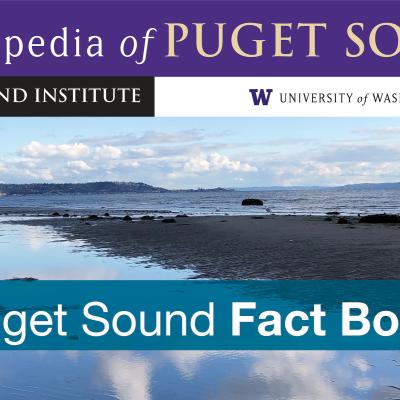 Puget Sound Fact Book report cover