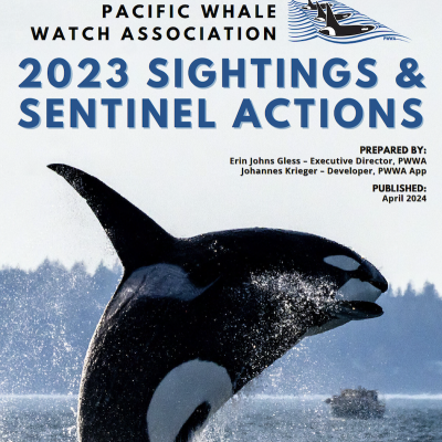Cover of the Pacific Whale Watch Association 2023 Sightings and Sentinel Actions report, featuring a photograph of an orca whale breaching with a boat in the distance.