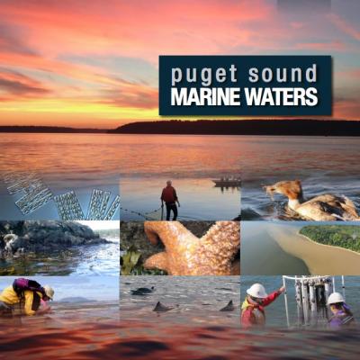 Puget Sound marine waters 2014 report cover