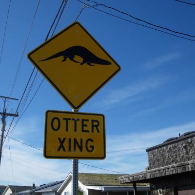 Otter crossing street sign. Photo: Joe Gaydos