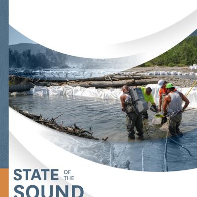 Report cover