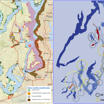 Locations of shellfish beds in the Salish Sea (left) compared to regions predicted by the Salish Sea Model to have high microplastic accumulation (right). Maps: PNNL