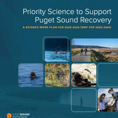 Report cover