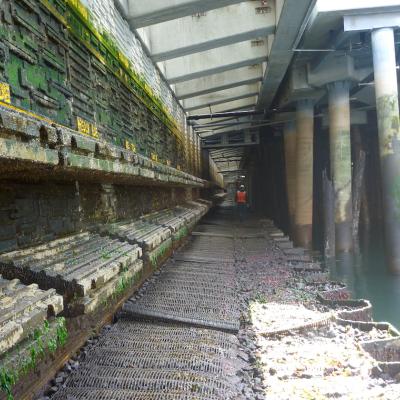 The new Seattle seawall below the sidewalk at low tide. Photo: Jason Toft/UW