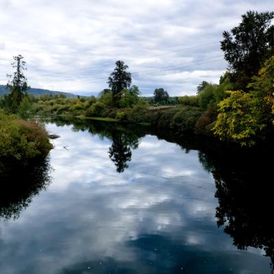 View of river with reflection of clouds and vegetation