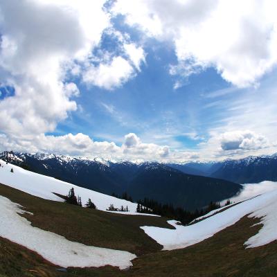 Snowmelt on Hurricane Ridge, Olympic Mountains, WA. Photo: Beth Jusino (CC BY-NC 2.0) https://flic.kr/p/9WRS8J