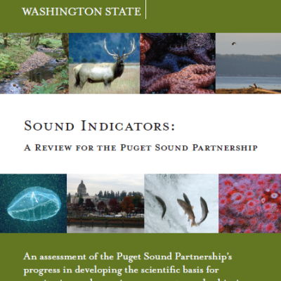 Sound indicators report cover page
