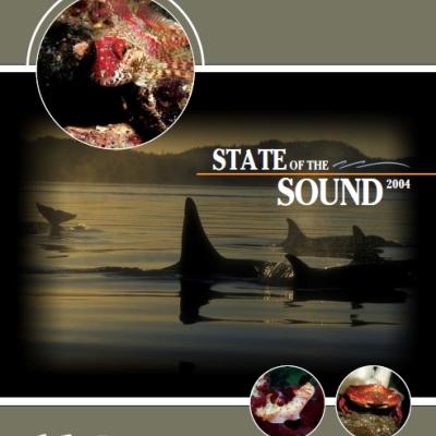 State of the Sound 2004 report cover image
