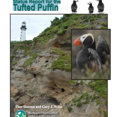 Report cover
