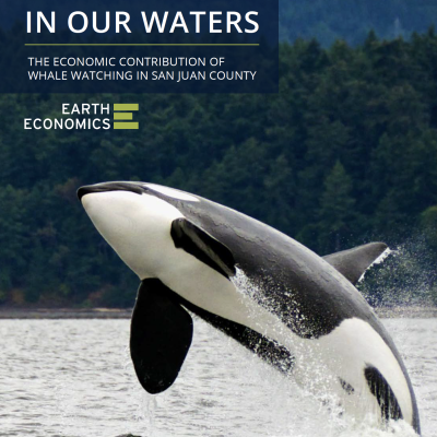 Report cover